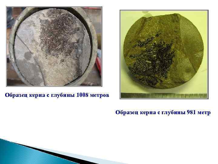 Образец керна с глубины 1008 метров Образец керна с глубины 981 метр 