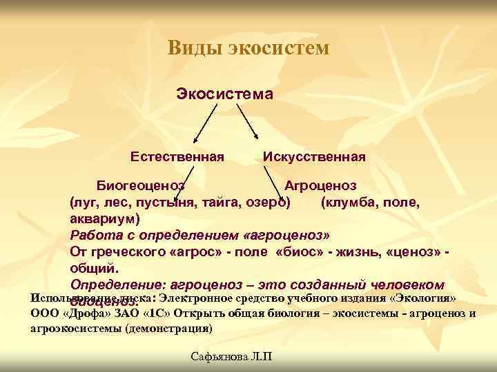 Виды экосистем Экосистема Естественная Искусственная Биогеоценоз Агроценоз (луг, лес, пустыня, тайга, озеро) (клумба, поле,