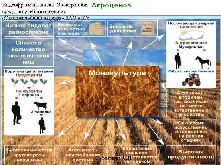 Видеофрагмент диска Электронное средство учебного издания «Экология» ООО «Дрофа» . ЗАО « 1 С»