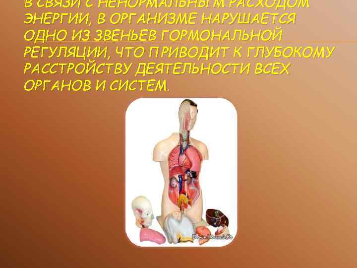 В СВЯЗИ С НЕНОРМАЛЬНЫМ РАСХОДОМ ЭНЕРГИИ, В ОРГАНИЗМЕ НАРУШАЕТСЯ ОДНО ИЗ ЗВЕНЬЕВ ГОРМОНАЛЬНОЙ РЕГУЛЯЦИИ,