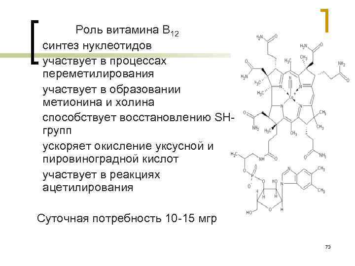 1. 2. 3. 4. 5. 6. Роль витамина В 12 синтез нуклеотидов участвует в