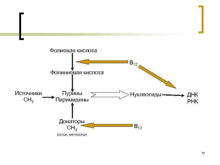 Фолиевая кислота В 12 Фолиниевая кислота Источники СН 3 Пурины Пиримидины Донаторы СН 3
