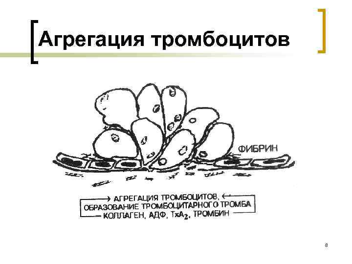 Агрегация тромбоцитов 8 