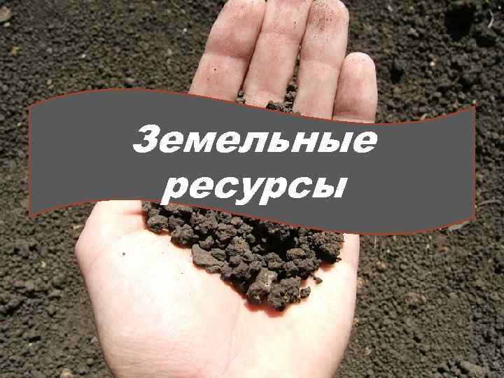 Земельные ресурсы 