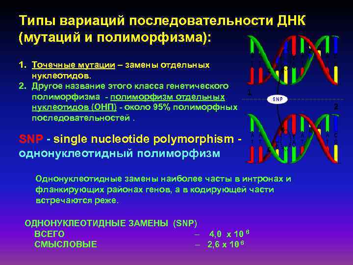 Изменение последовательности днк