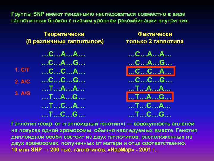 Группы SNP имеют тенденцию наследоваться совместно в виде гаплотипных блоков с низким уровнем рекомбинации