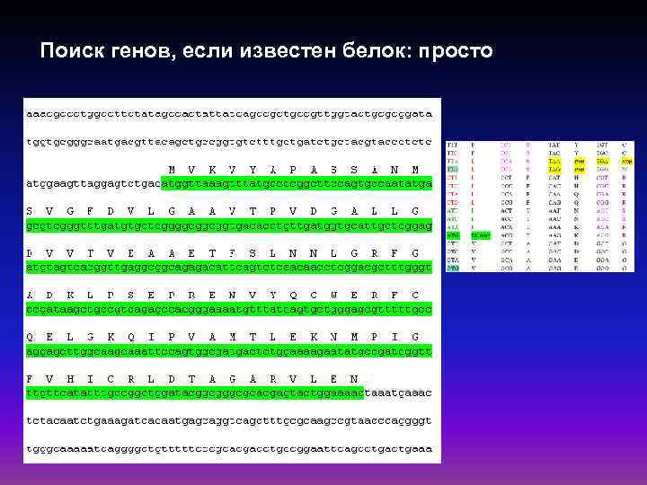 Поиск генов, если известен белок: просто 