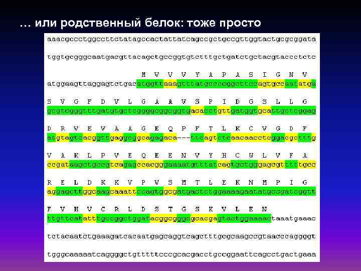 … или родственный белок: тоже просто 