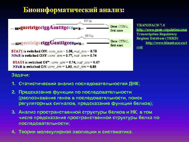 Биоинформатический анализ: TRANSFAC® 7. 0 http: //www. gene-regulation. com Transcription Regulatory Regions Database (TRRD)