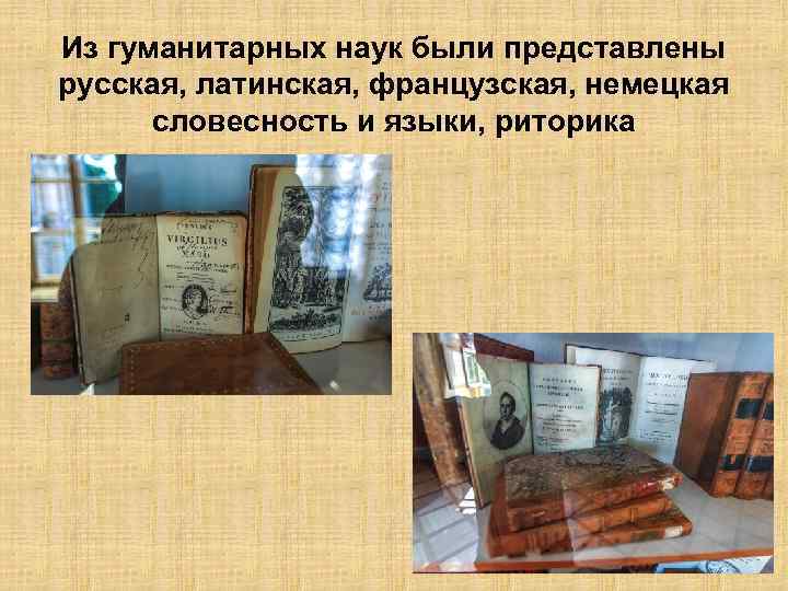 Из гуманитарных наук были представлены русская, латинская, французская, немецкая словесность и языки, риторика 