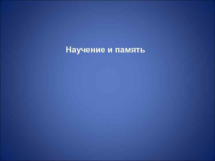 Научение и память 