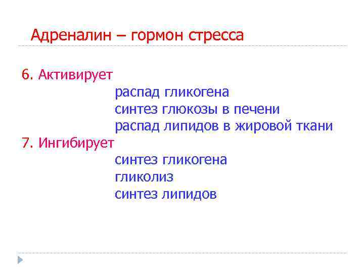 Адреналин – гормон стресса 6. Активирует 7. Ингибирует распад гликогена синтез глюкозы в печени