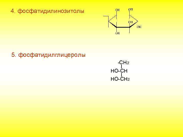 4. фосфатидилинозитолы 5. фосфатидилглицеролы -СН 2 I НО-CH 2 