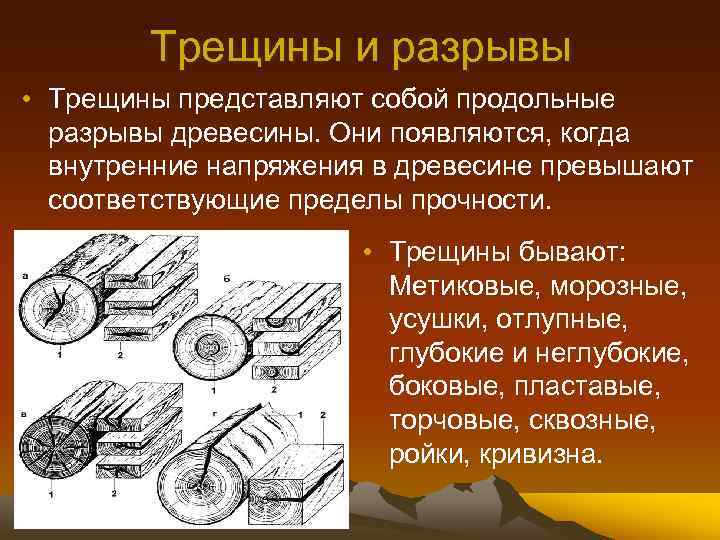 Гост пороки древесины с цветными картинками