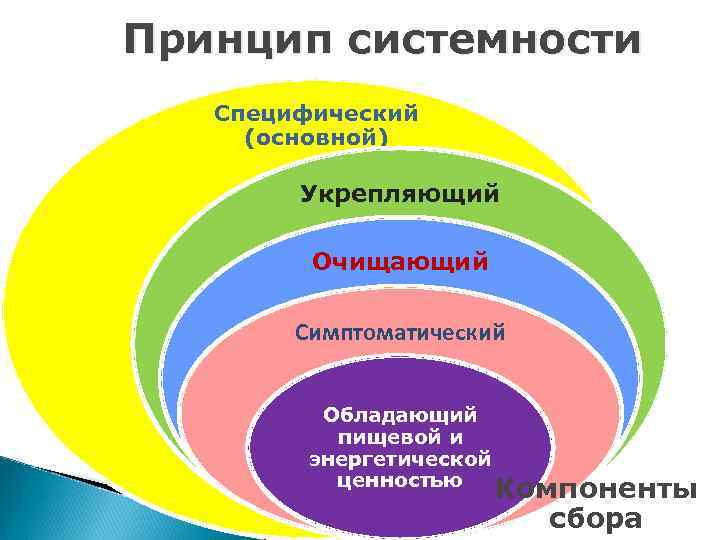 Принцип системности Специфический (основной) Укрепляющий Очищающий Симптоматический Обладающий пищевой и энергетической ценностью Компоненты сбора