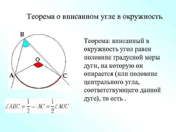 Теорема о вписанном угле в окружность. Теорема: вписанный в окружность угол равен половине градусной