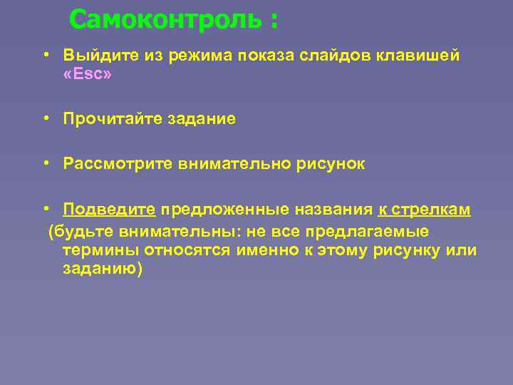 Самоконтроль : • Выйдите из режима показа слайдов клавишей «Esc» • Прочитайте задание •