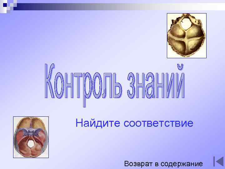 Найдите соответствие Возврат в содержание 