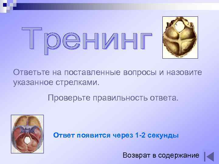 Ответьте на поставленные вопросы и назовите указанное стрелками. Проверьте правильность ответа. Ответ появится через