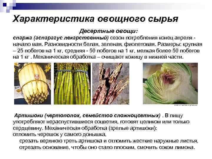 Характеристика овощного сырья Десертные овощи: спаржа (аспарагус лекарственный) сезон потребления конец апреля - начало