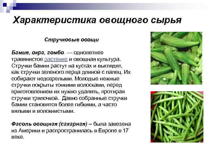 Что за овощная культура окра