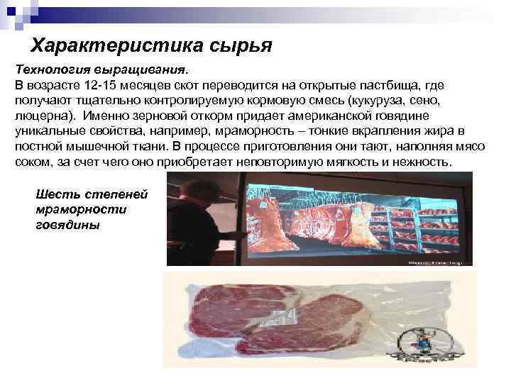 Характеристика сырья Технология выращивания. В возрасте 12 -15 месяцев скот переводится на открытые пастбища,