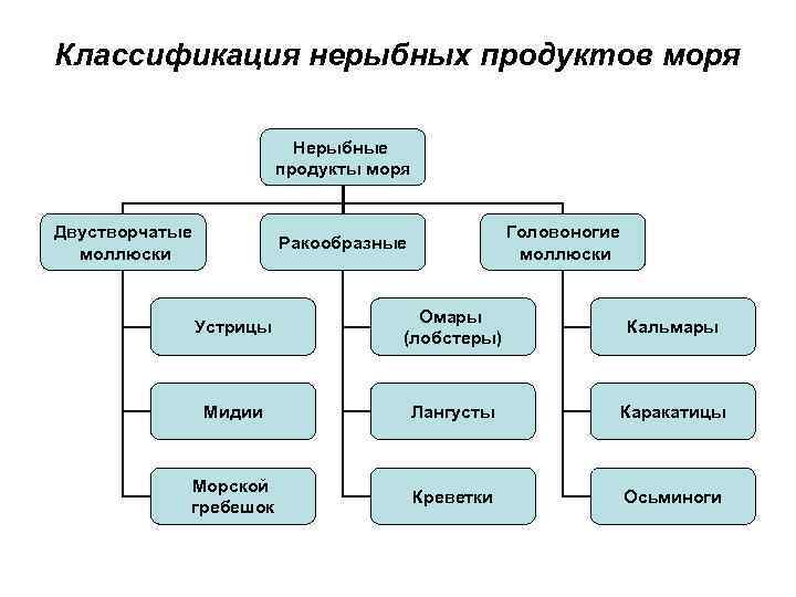 Классификация сырья. Нерыбные продукты моря классификация. Классификация нерыбного водного сырья схема. Классификация и ассортимент нерыбных морепродуктов.. Классификация морепродуктов схема.