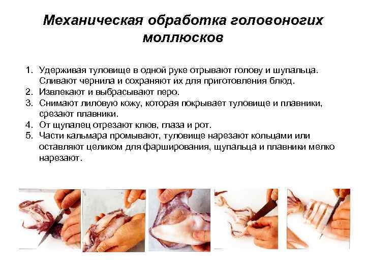 Классификация морепродуктов схема