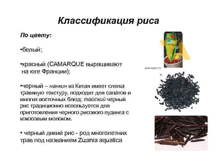 Классификация риса По цвету: • белый; • красный (CAMARQUE выращивают на юге Франции); •