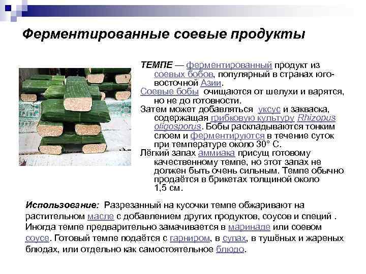 Ферментированные соевые продукты ТЕМПЕ — ферментированный продукт из соевых бобов, популярный в странах юговосточной