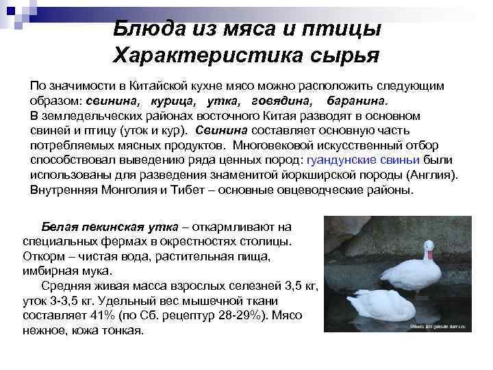 Блюда из мяса и птицы Характеристика сырья По значимости в Китайской кухне мясо можно