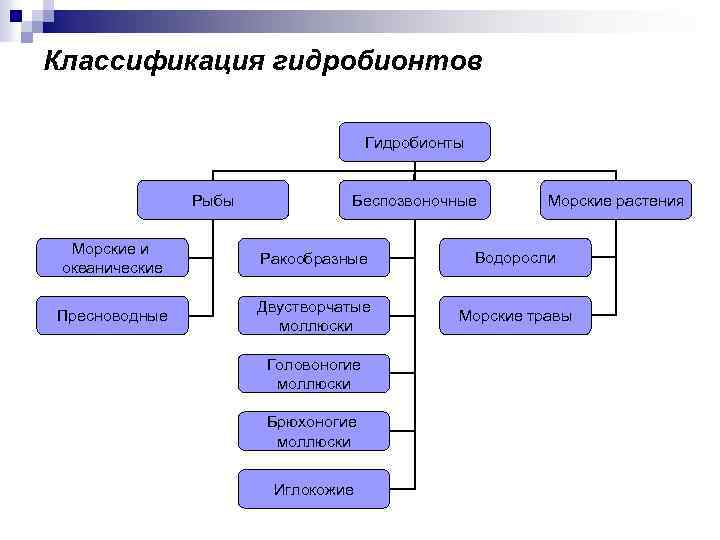 Классификация гидробионтов Гидробионты Рыбы Беспозвоночные Морские растения Морские и океанические Ракообразные Водоросли Пресноводные Двустворчатые