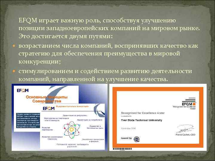 EFQM играет важную роль, способствуя улучшению позиции западноевропейских компаний на мировом рынке. Это достигается