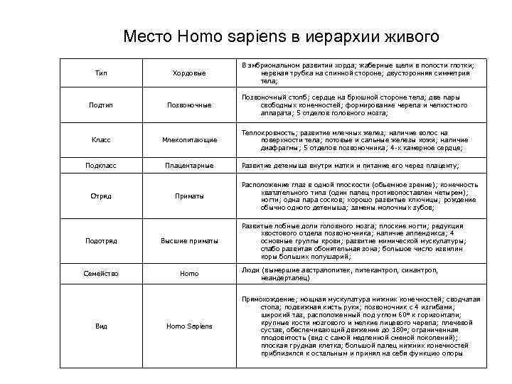 Место Homo sapiens в иерархии живого В эмбриональном развитии хорда; жаберные щели в полости