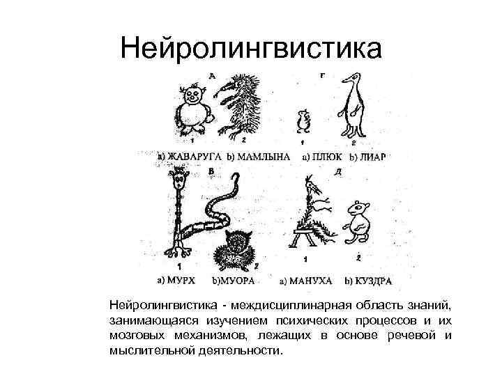 Нейролингвистика - междисциплинарная область знаний, занимающаяся изучением психических процессов и их мозговых механизмов, лежащих