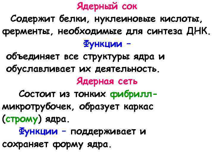 Ядерный сок Содержит белки, нуклеиновые кислоты, ферменты, необходимые для синтеза ДНК. Функции – объединяет