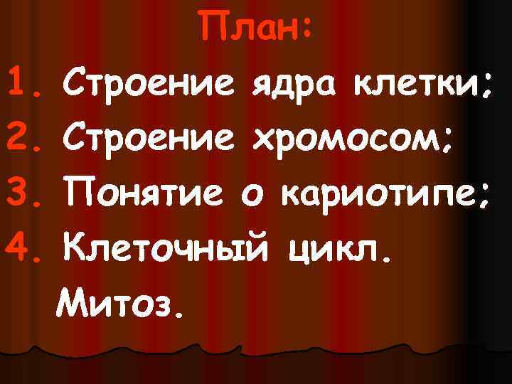 План: 1. Строение ядра клетки; 2. Строение хромосом; 3. Понятие о кариотипе; 4. Клеточный