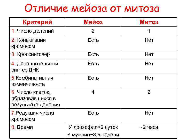 Мейоз план урока 10 класс