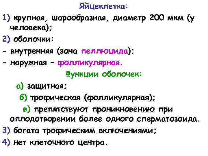 Яйцеклетка: 1) крупная, шарообразная, диаметр 200 мкм (у человека); 2) оболочки: - внутренняя (зона