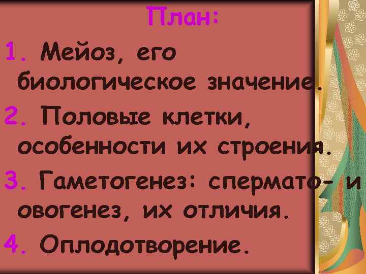 План: 1. Мейоз, его биологическое значение. 2. Половые клетки, особенности их строения. 3. Гаметогенез: