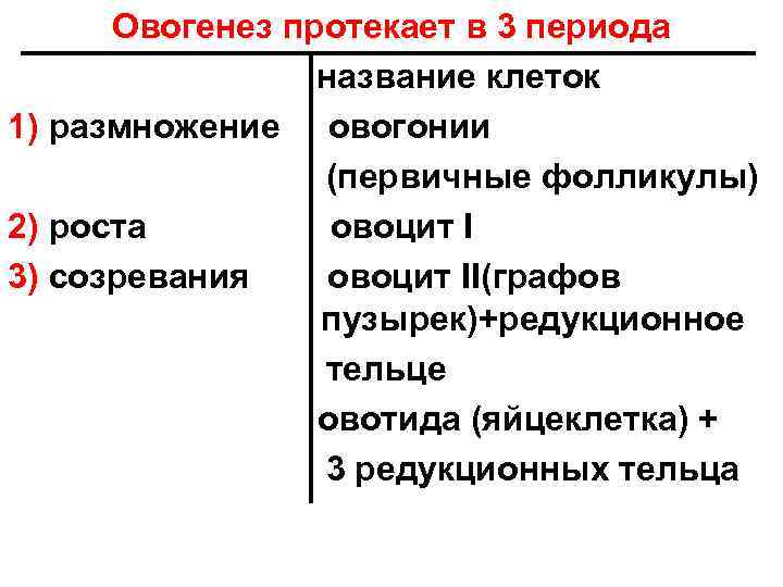 Овогенез протекает в 3 периода название клеток 1) размножение овогонии (первичные фолликулы) 2) роста