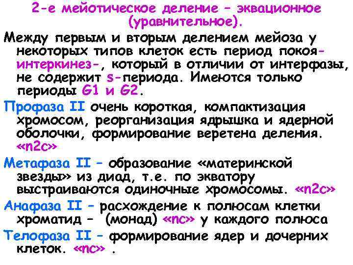 Периоды деления. Эквационное уравнительное деление. Второе мейотическое деление (эквационное). Редукционное деление и эквационное деление. Мейоз 2 эквационное деление.