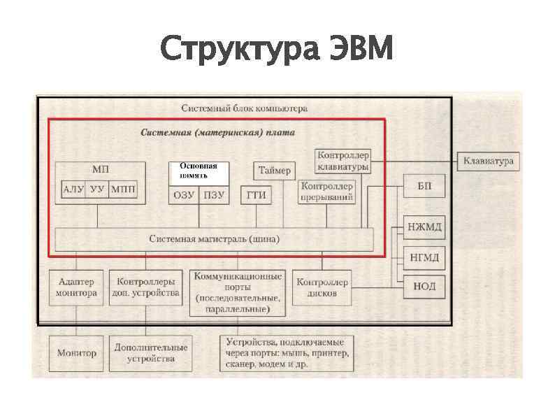 Структура ЭВМ 