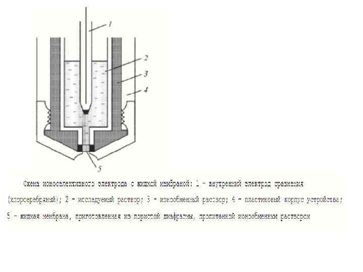 Схема установки для потенциометрических измерений