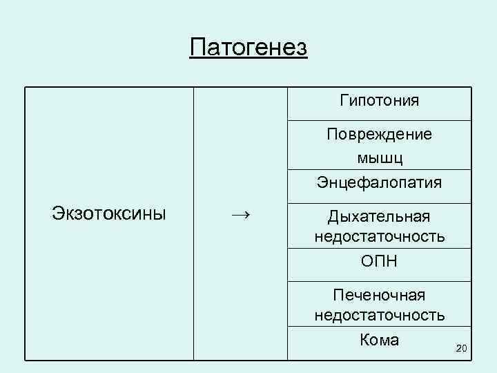 Патогенез Гипотония Повреждение мышц Энцефалопатия Экзотоксины → Дыхательная недостаточность ОПН Печеночная недостаточность Кома 20