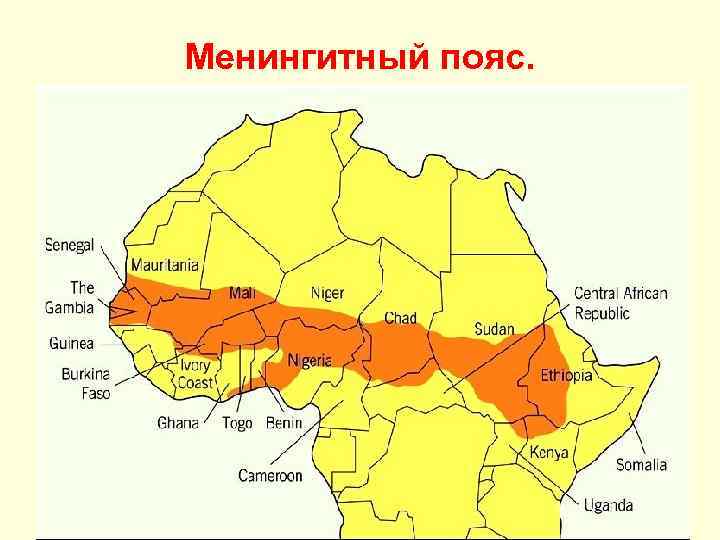 Менингитный пояс. 