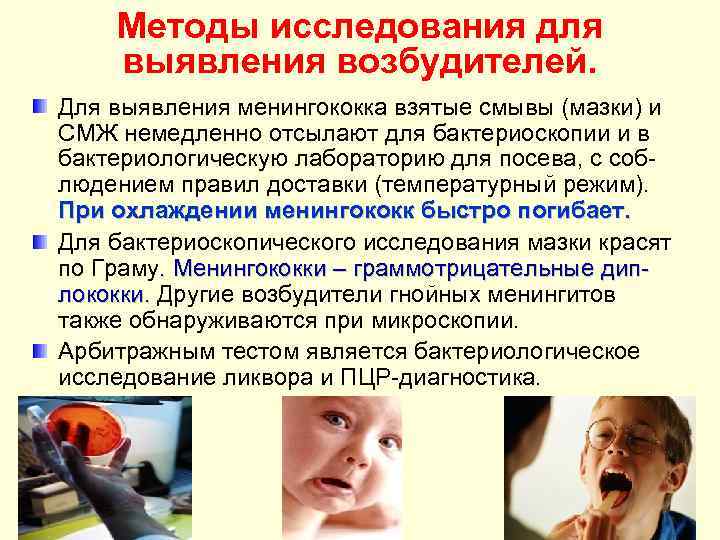 Методы исследования для выявления возбудителей. Для выявления менингококка взятые смывы (мазки) и СМЖ немедленно