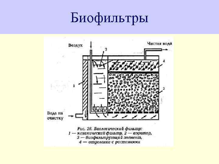 Биофильтры для очистки сточных вод схема