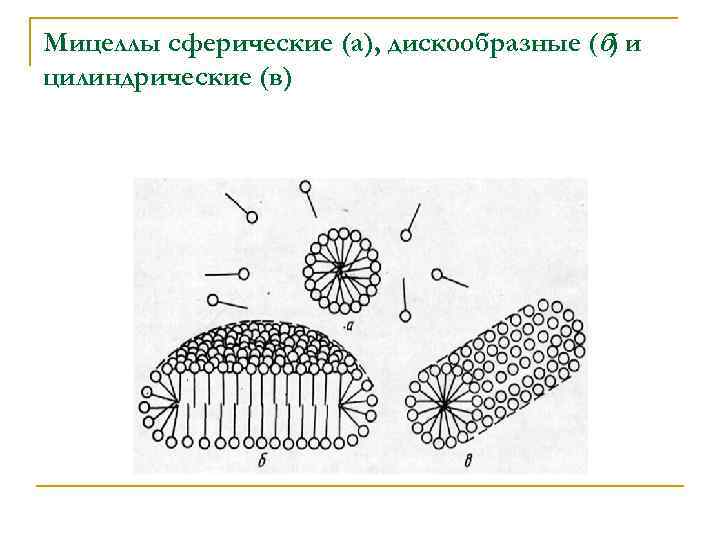 Мицеллы сферические (а), дискообразные (б) и цилиндрические (в) 
