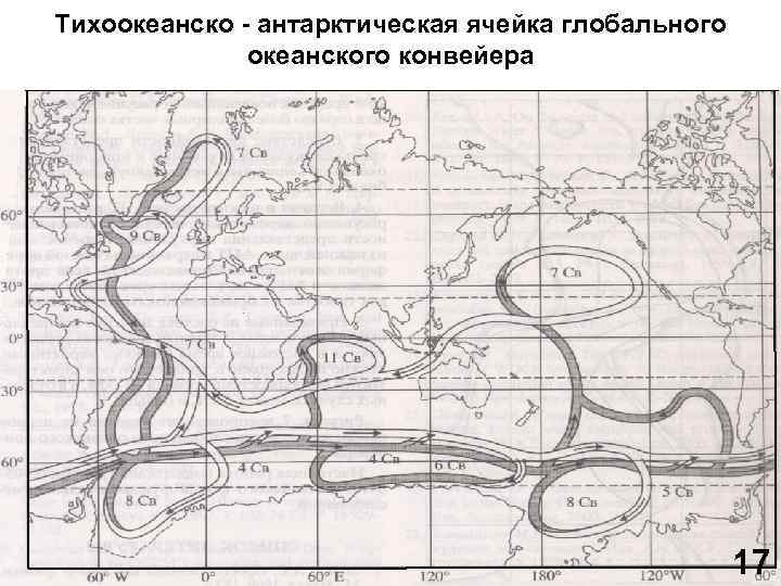 Тихоокеанско - антарктическая ячейка глобального океанского конвейера 17 13 